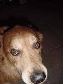 DSC00017